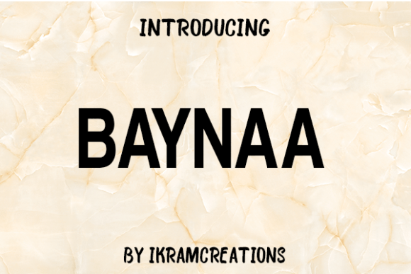 Baynaa: A Clean Sans Serif Font for Modern Editorial Design