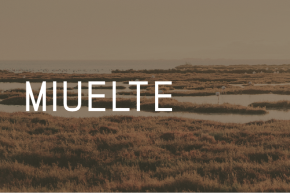 Miuelte: A Modern Sans Serif Typeface for Campaigns