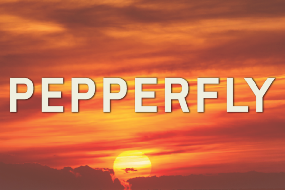 Pepperfly: A Modern Sans Serif Typeface for Campaigns